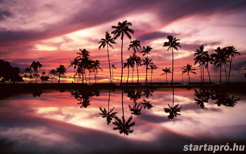 Sikeres férfi ismerkedne 