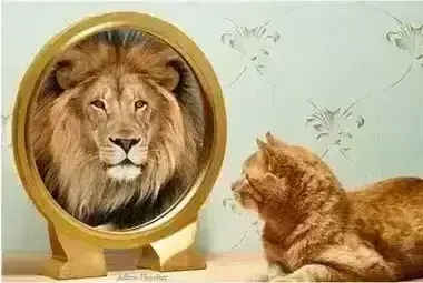 Párkapcsolati, pártalálási mentorálás, életvezetési tanácsadás, energiakezelés