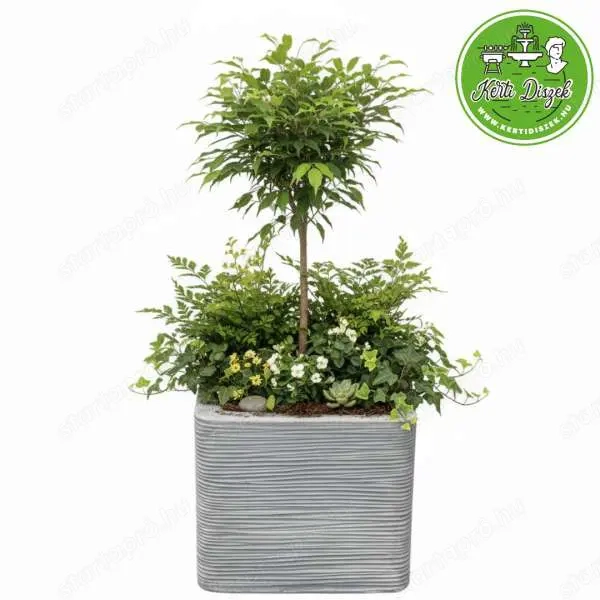 Letisztult dizájn virágtartó