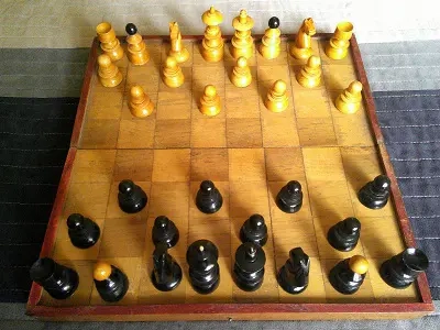 Sakk klt.több évesek.