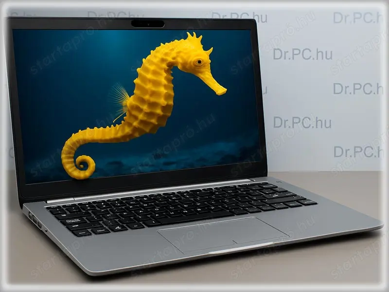 Rabolj rá: DELL Latitude 3450 -Dr-PC-nél