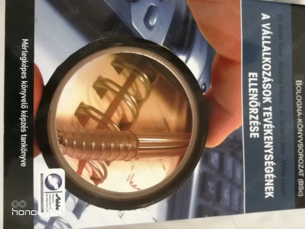 A vállalkozások tevékenységének az ellenőrzése