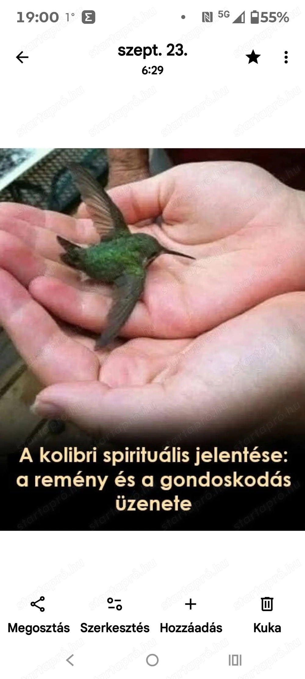 Napi kifizetéses budapesti MUNKÁT keresek! Kérem olvassa végig!