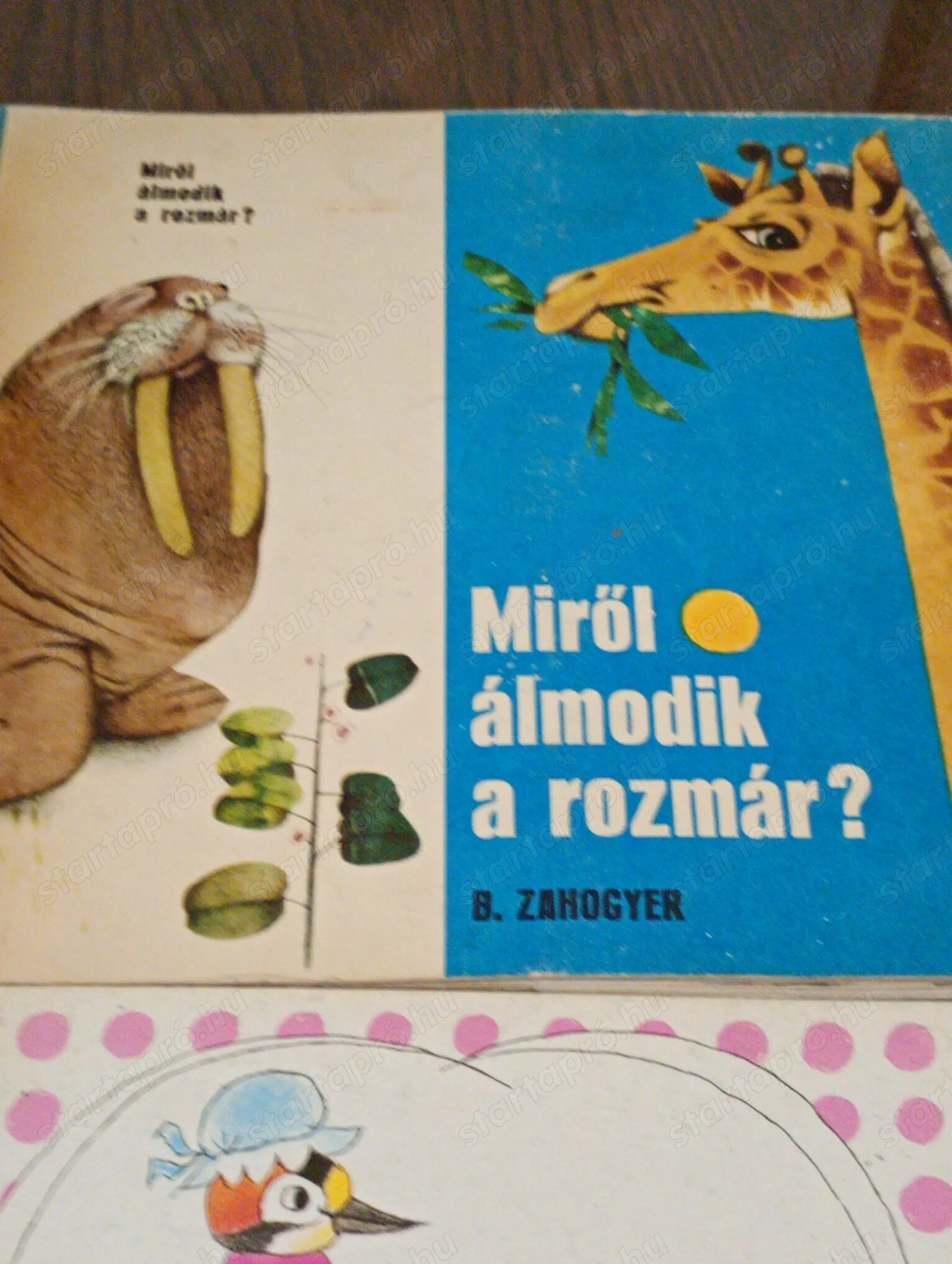 Miről álmodik a rozmár? B. Zahogyer Mladé Letá, Bratislava, 1984 4000ft óbuda személyes átvétel óbud