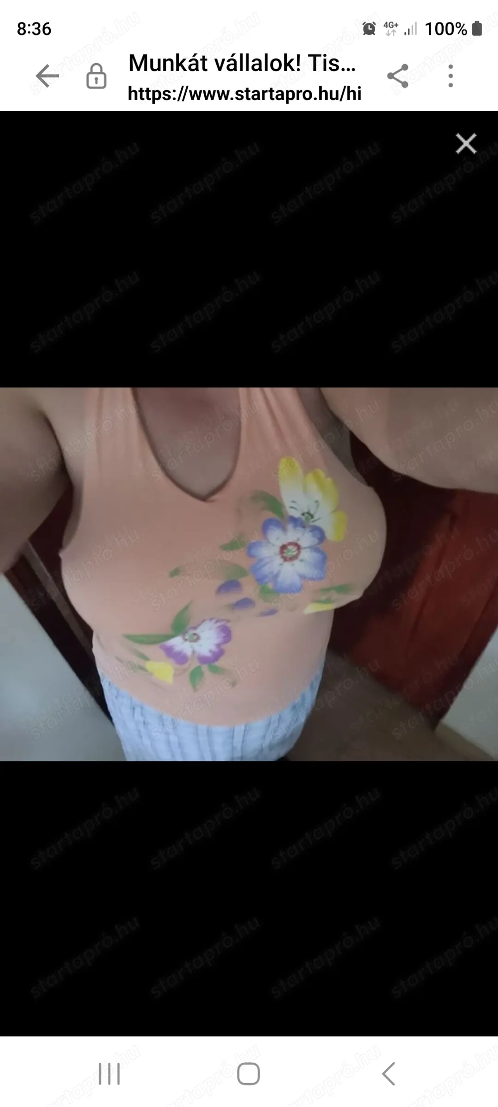 Takarítást vállalok, főleg az ünnepek  után!  A fotó  alapján jó időben, nyárias ruhában. 