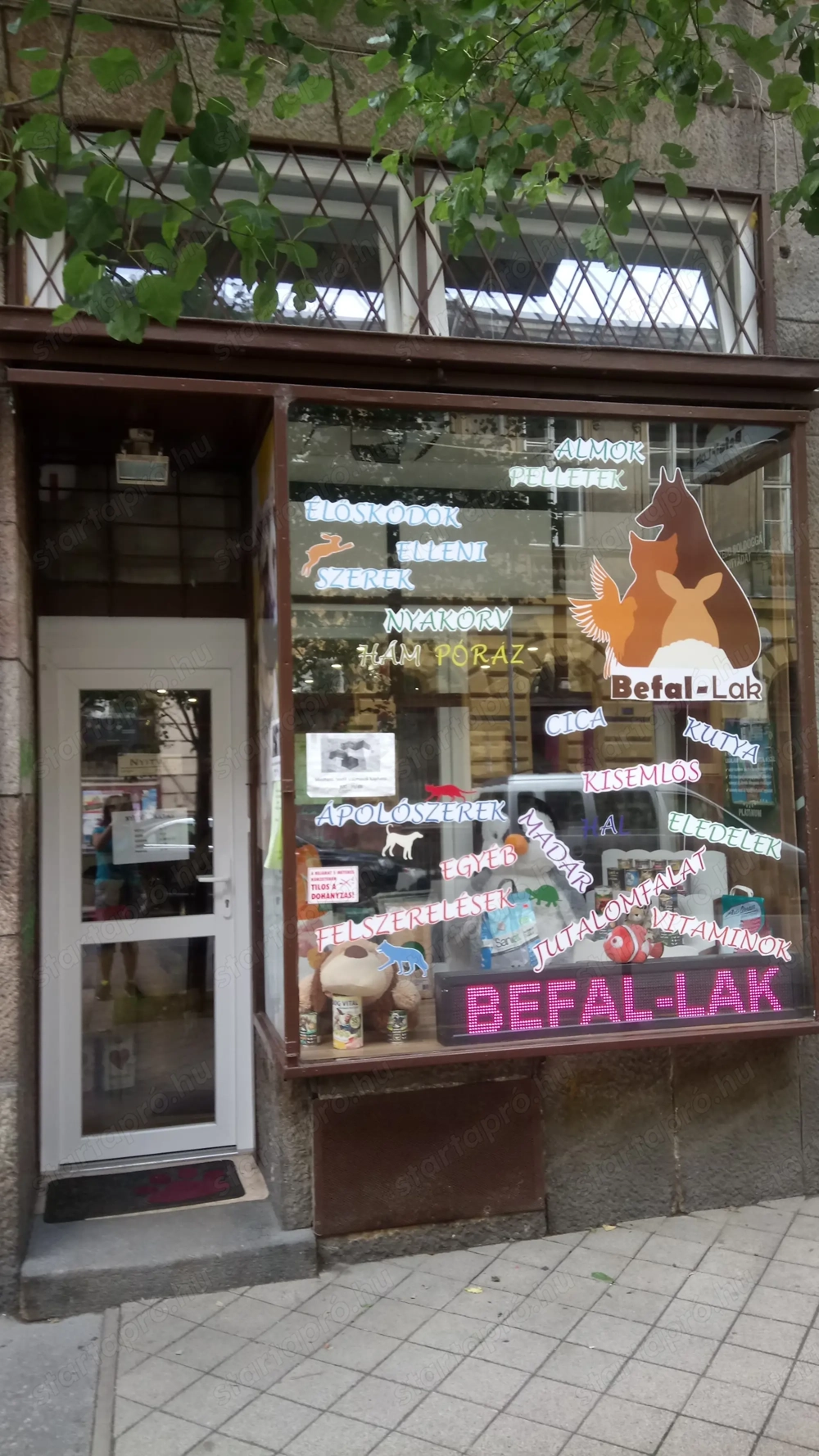 VÉGKIÁRUSÍTÁS! Állateledel és Felszerelés Kisbolt