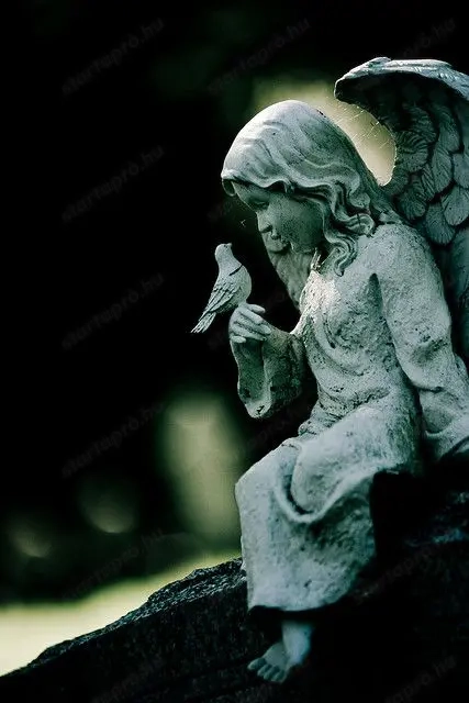 Állásokat keresnék