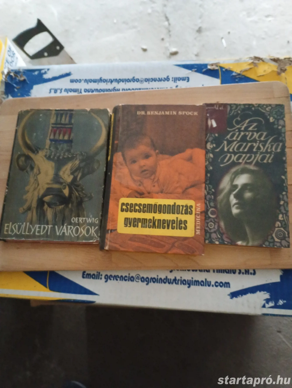 Elsüllyedt városok Siegfried Oertwig Gondolat Kiadó, 1966  2000ft óbuda személyes átvétel óbudán lak