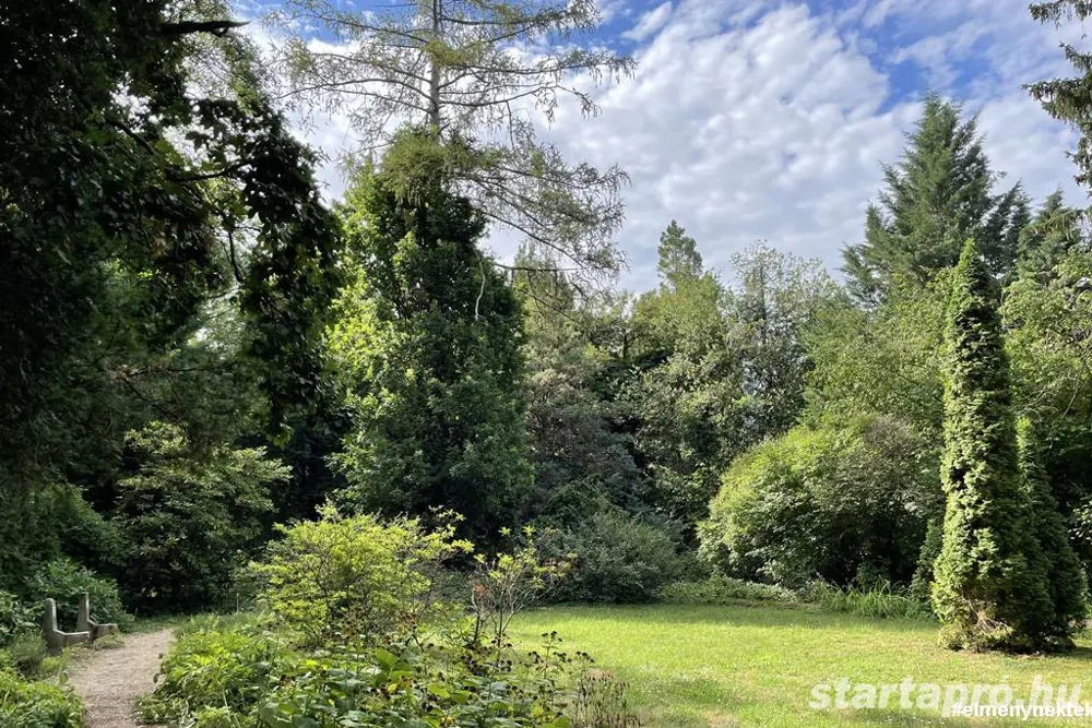 Diákmunka Zalaegerszegen