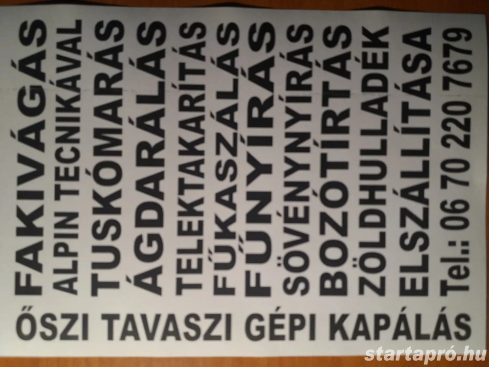 Telek takaritás bozot irtás