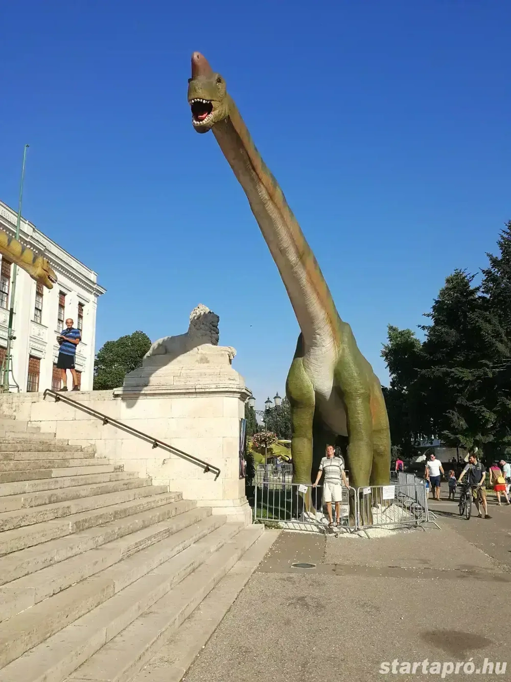 Anyagi és Lelki tudás a PPH-nál