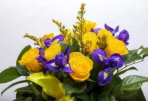 Kitűnő Ajándékötlet!