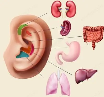 Fül akupunktúra +; masszázs + bemer 