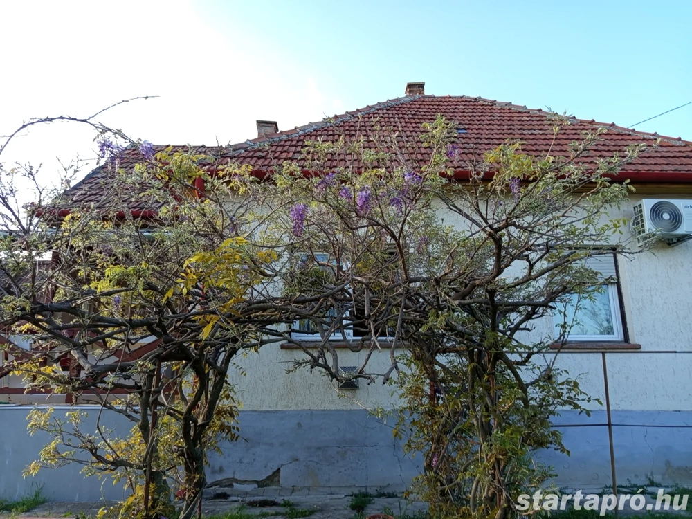 1100 nm. telken 80 nm- többkertes ház felújítva!