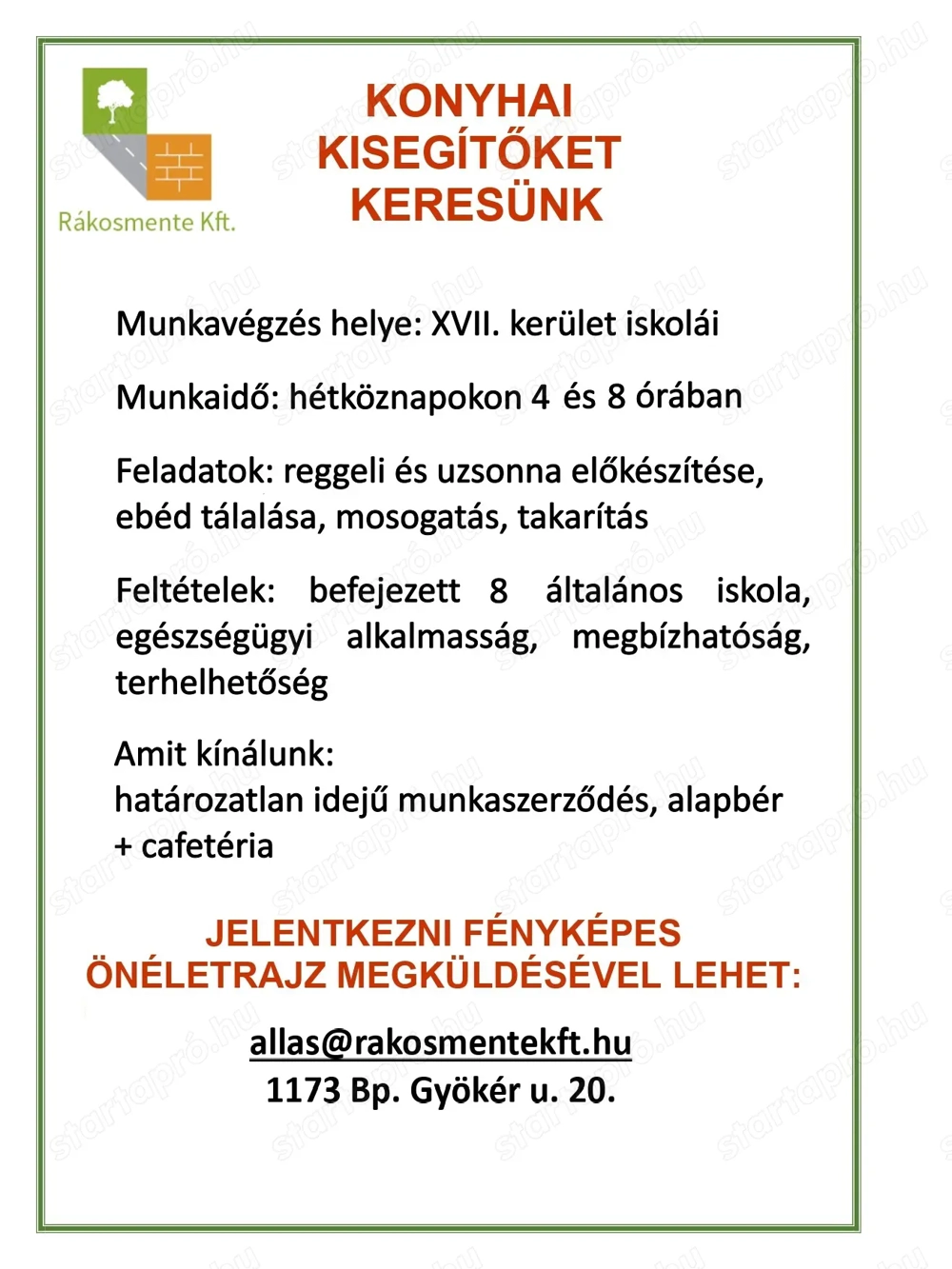 Konyhai kisegítő kollégát keresünk!