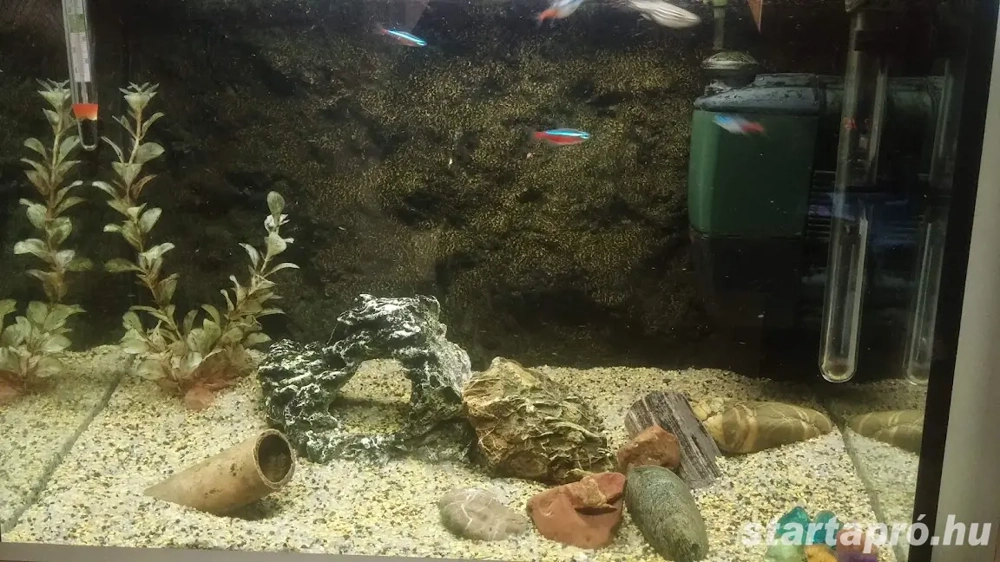 60l akvárium eladó