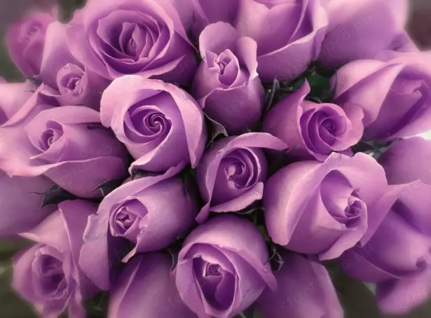    Ajándékozz pihenést nőnapra 