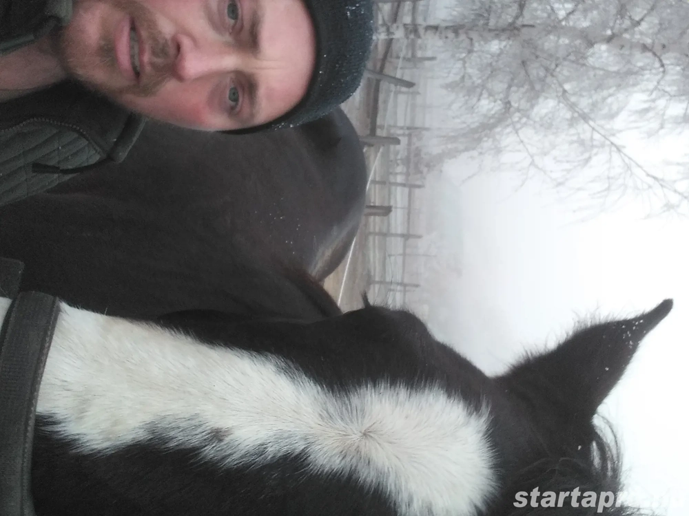 Munkát keresek Veszprém