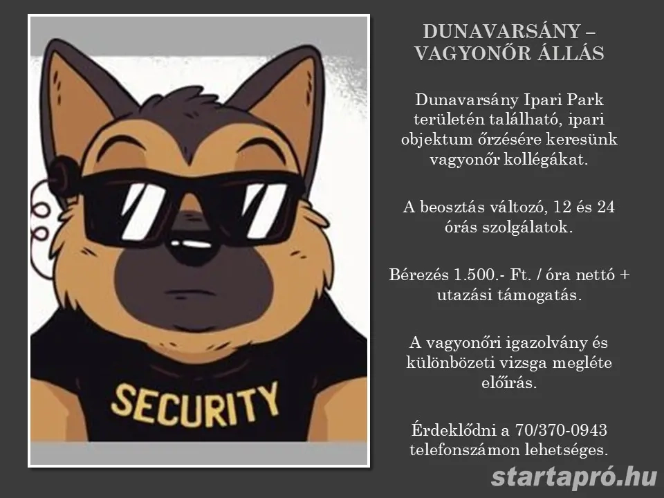 Dunavarsány vagyonőr állás