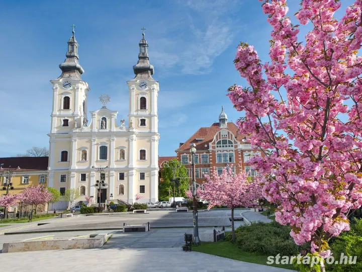 Ügyintéző munkalehetőség, home office, részmunkaidő