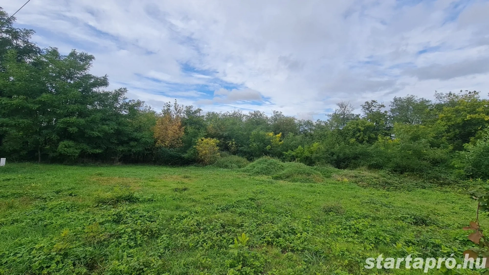 Mogyoródon 900 nm-es építési telek ,25%-os beépíthetőséggel eladó.