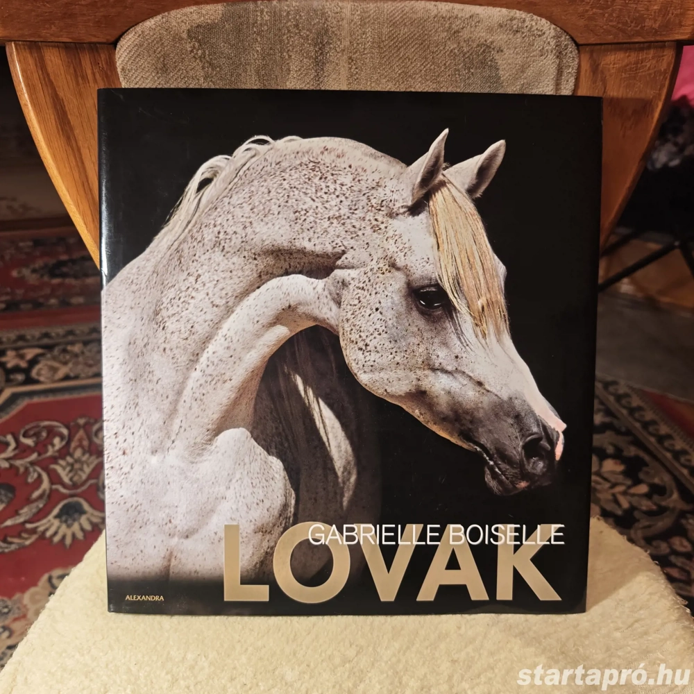 Lovak - Gabrielle Boiselle
