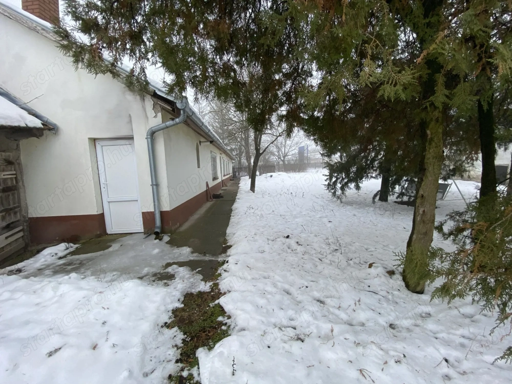 Bócsa, Fischerbócsa belterületén felújított tanya, fél hektár területtel eladó!