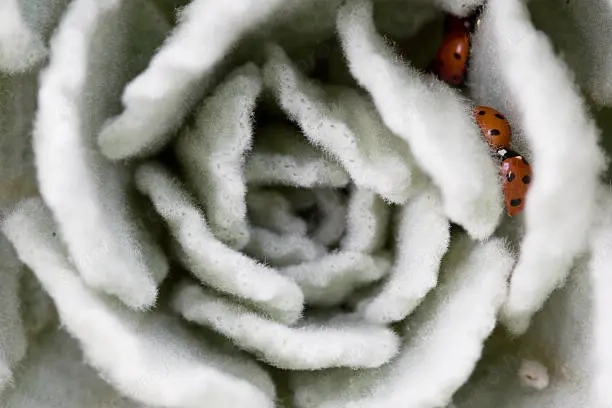 Munkákat találnék