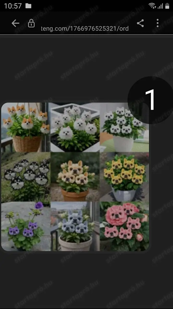 Kellemes pihentető massz zs,,