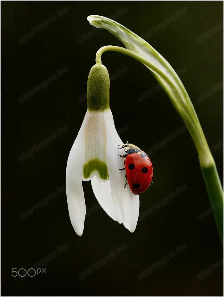 Munka lehetőségeket keresnék**