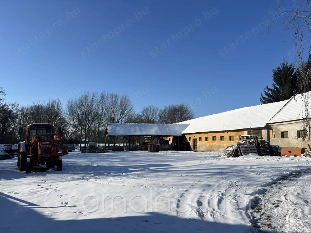 Potyond - ló-, és állattartásra alkalmas gazdasági épület nagy területen eladó