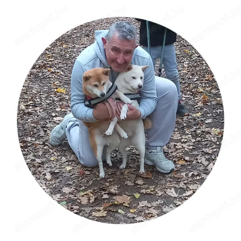 Hétvégi munka alkalmi munka gépkocsivezető 