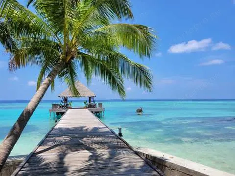 EU-ban bejegyzett nemzetközi cég eladó ár alatt  