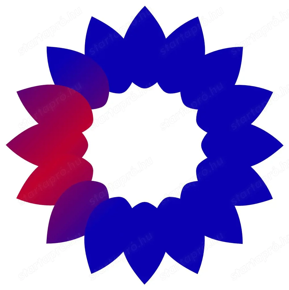 Asszisztenst keresünk, angol vagy orosz vagy más nyelvtudással, IT területre