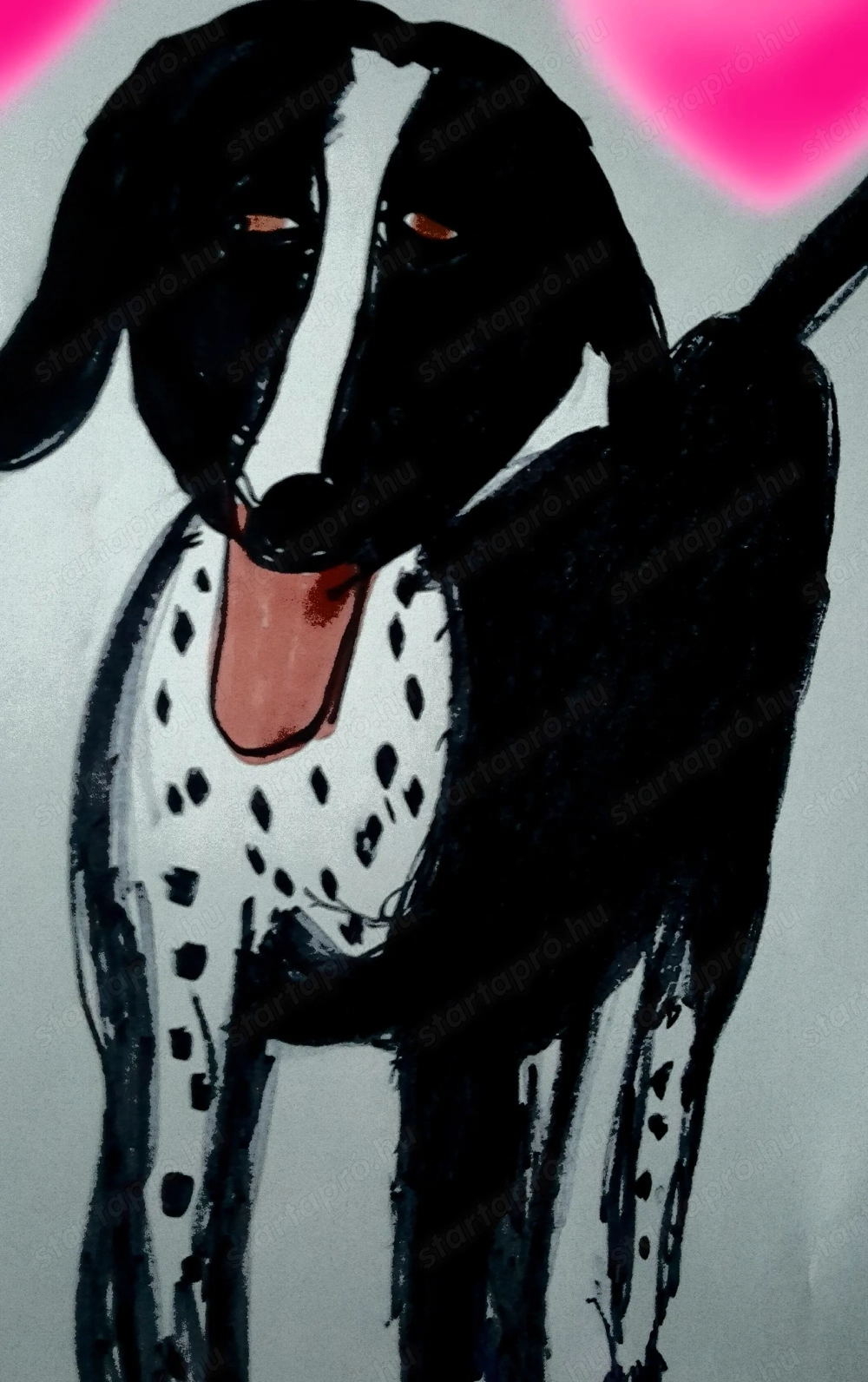 Málna kutya várunk haza Szegedre!