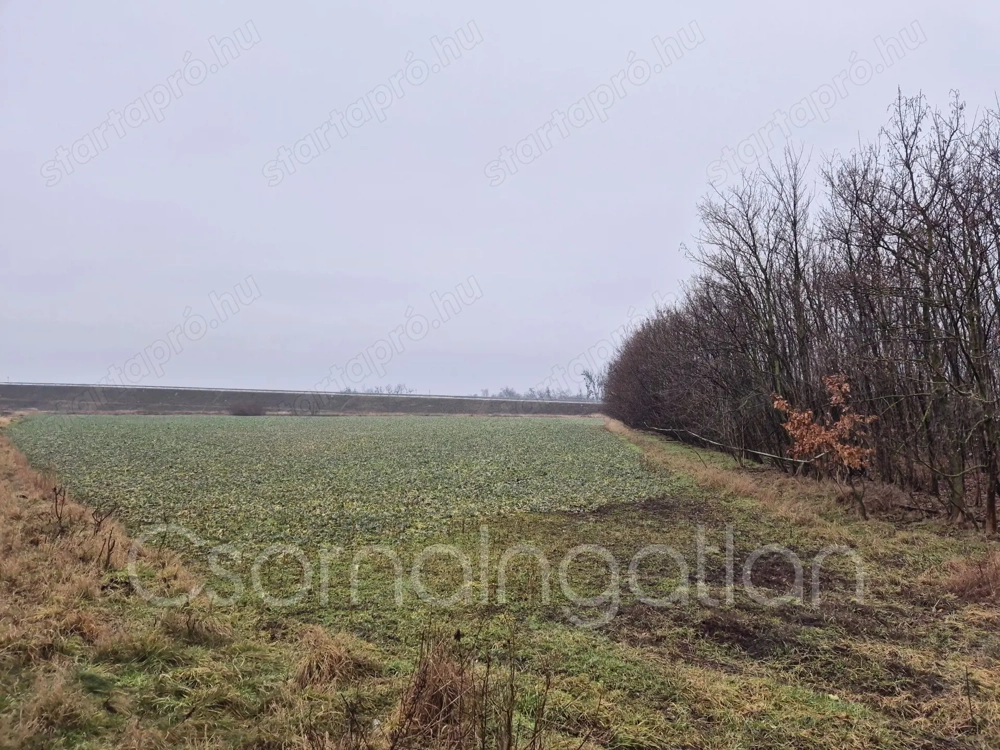 Babót - szántó eladó