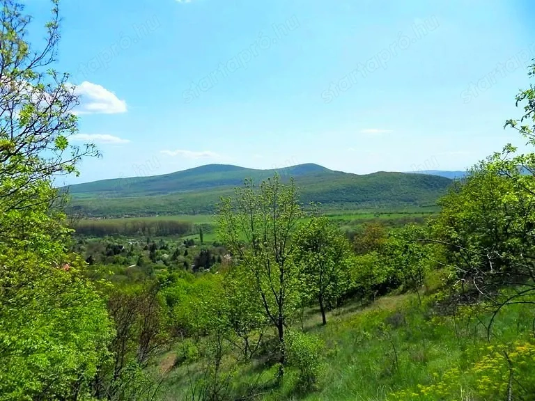 Pilisi Örök Panorámás, Erdővel Övezett 2e nm-es Telek