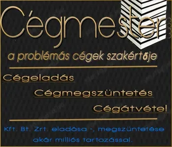 Szabaduljon meg adóssággal terhelt cégétől