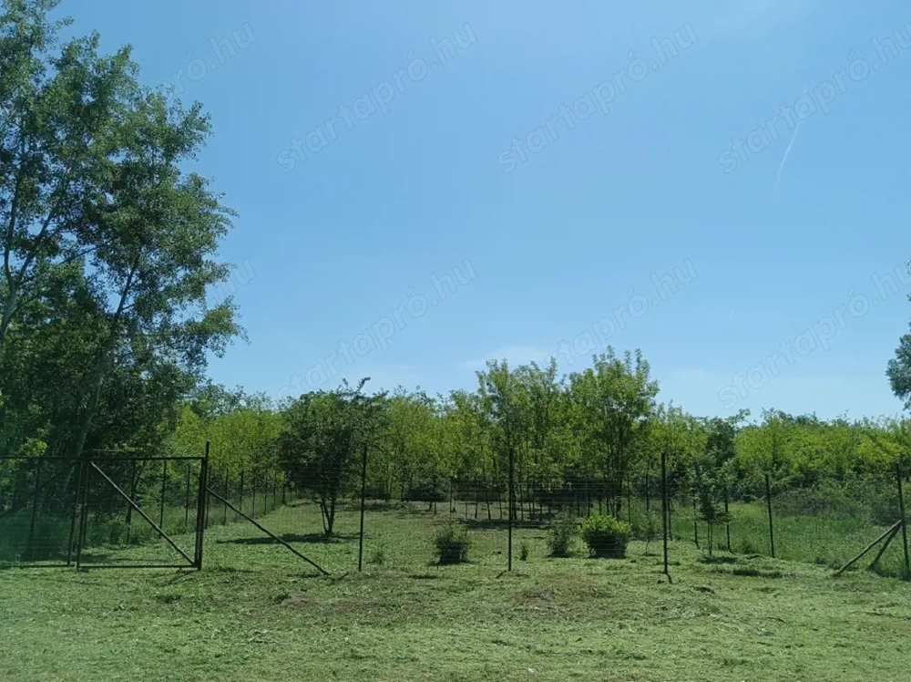 Monorierdőn, belterületi, 580 m2-es, építési telek