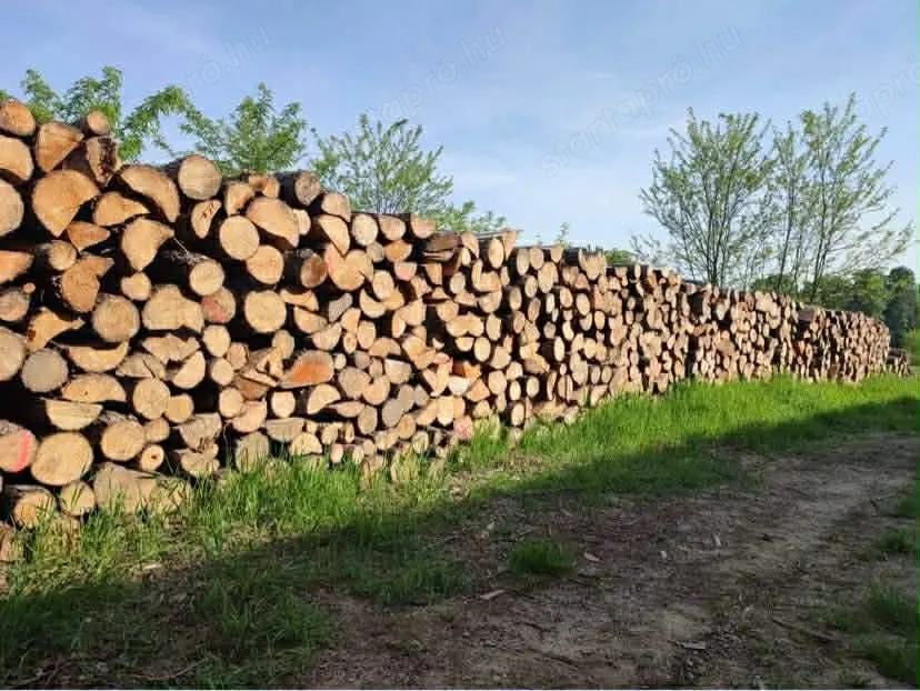 Minőségi akác tűzifa eladó 