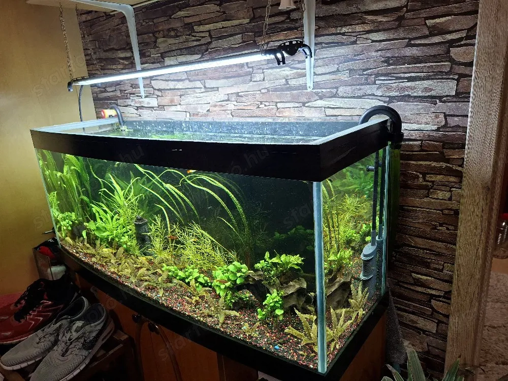 akvárium felszereléssel.