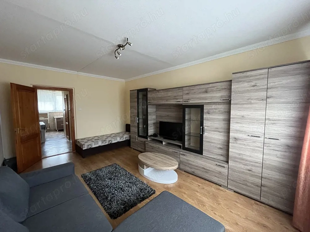 Tiszaújvárosban jó állapotú, berendezett lakás kiadó! 