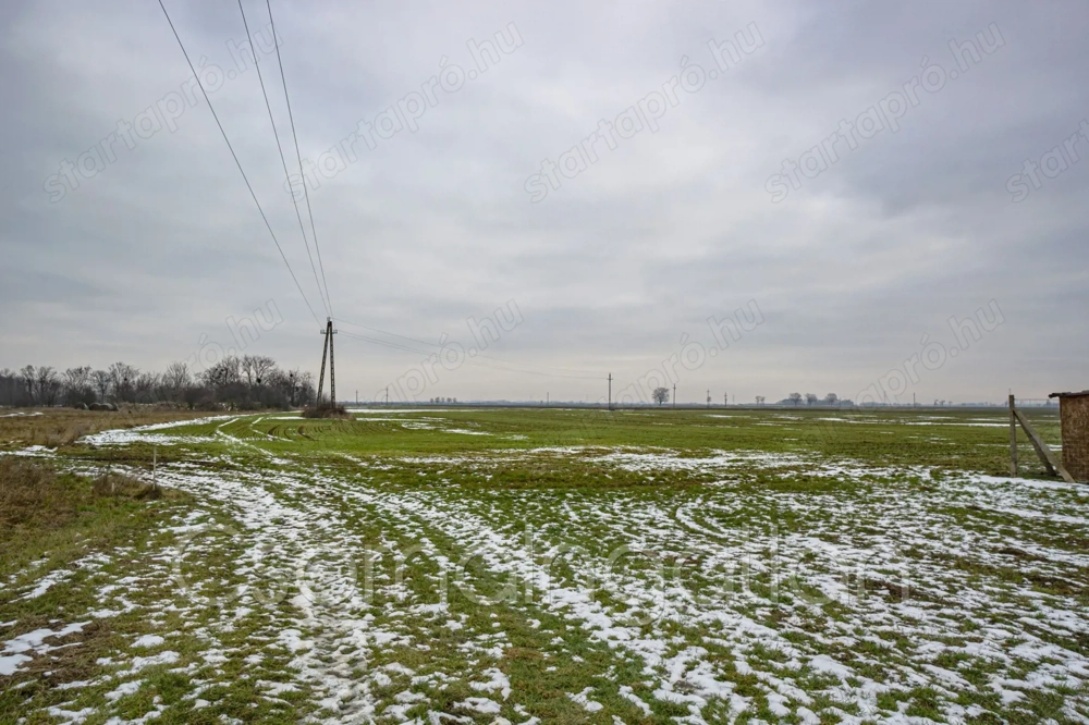 Mihályi - természetközeli, 900 m2-es telek eladó