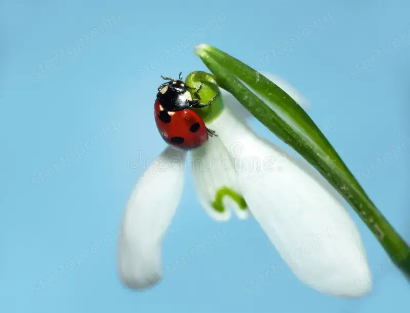 Munka lehetőségeket keresnék**