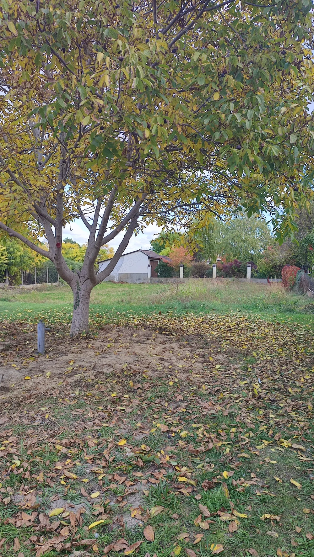 Szabadszálláson nagy építési telek eladó felújítható házzal