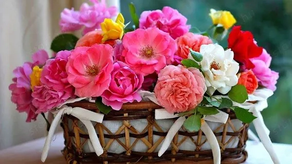  Stresszmentes ajándékozás 