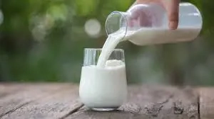 Eladó nyers tehén tej!