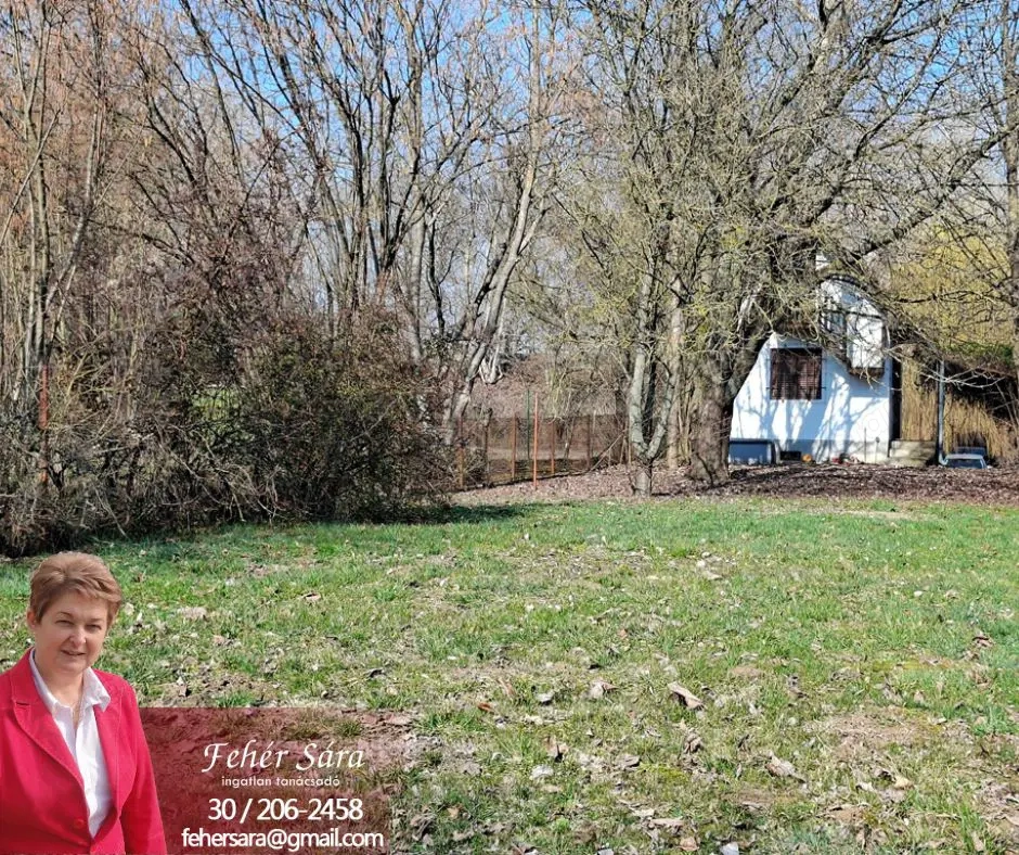 Tiszaugon vízparti ingatlan eladó.