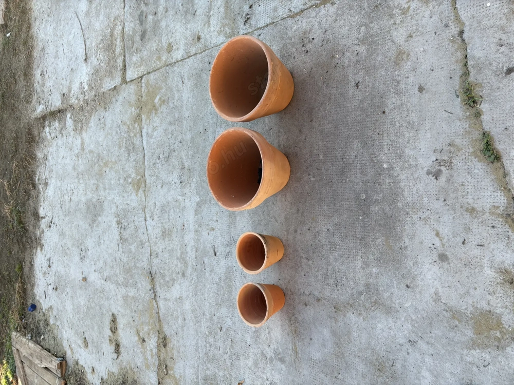 Eladó virág cser p j