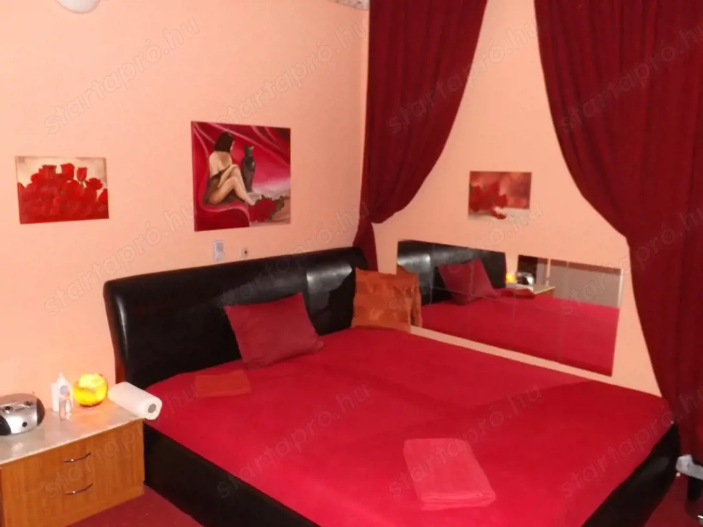 Erotikus munka Bécsben